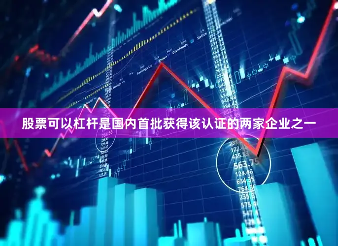 股票可以杠杆是国内首批获得该认证的两家企业之一
